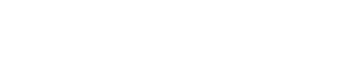 Smile solution Company の確立へ